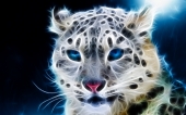 fond écran Guepard Fractal