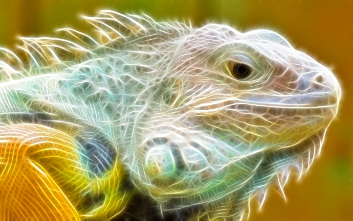 Iguane Fractal fond écran wallpaper