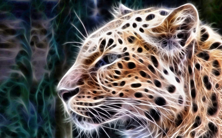 03-leopard fond écran wallpaper