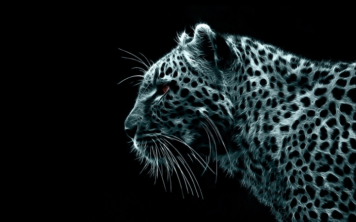léopards fond écran wallpaper