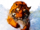 fond écran Tigre Fractal