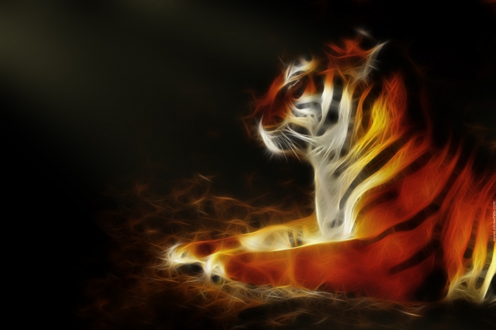 Tigry le Tigre fond écran wallpaper