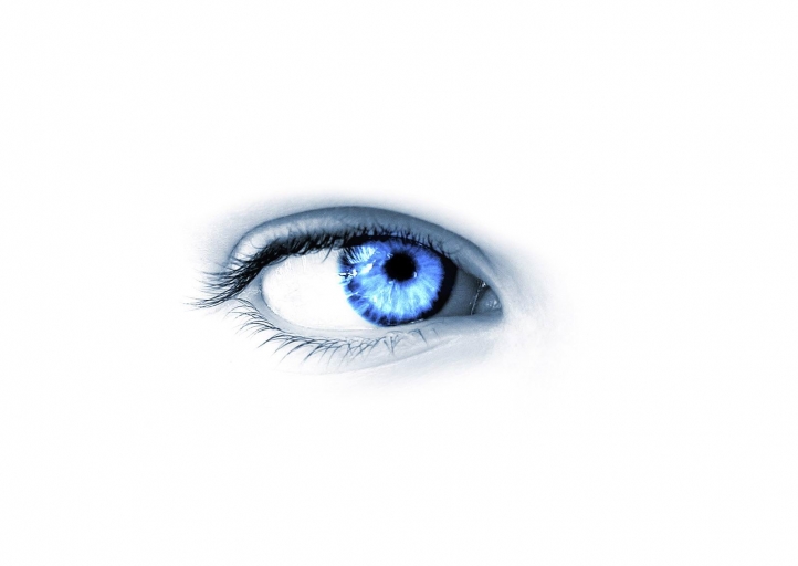 Blue Eye fond écran wallpaper