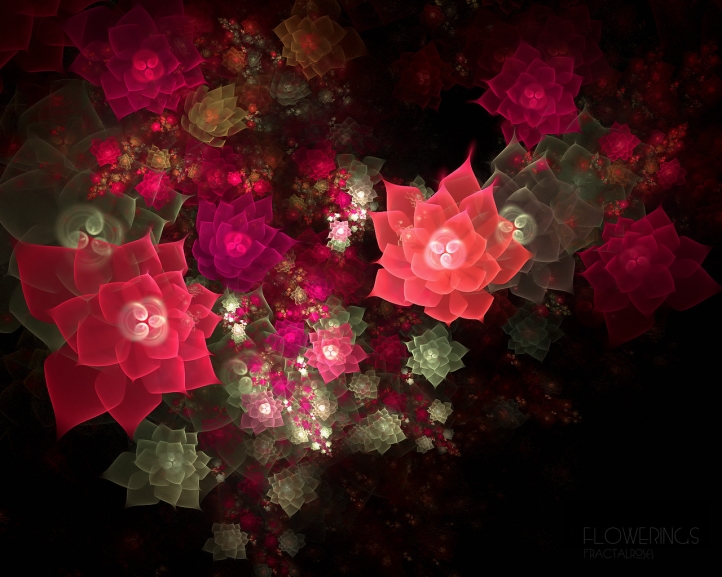 Flowering Fractalroses.. fond écran wallpaper