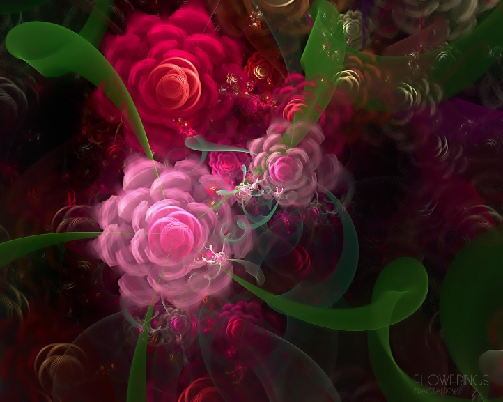 Flowering Fractalroses.. fond écran wallpaper