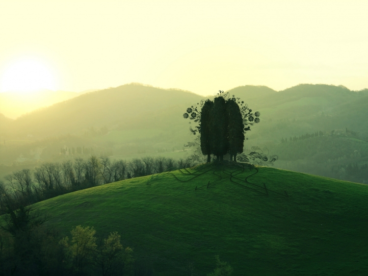 L'arbre fond écran wallpaper