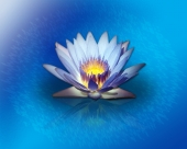 miniature Fleur