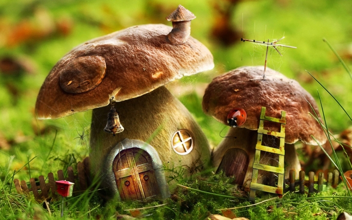 Mushroom Home fond écran wallpaper