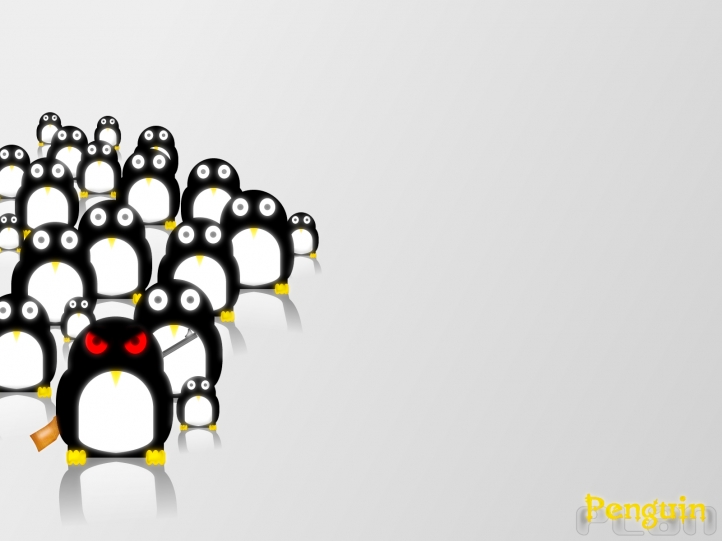 Penguin plan fond écran wallpaper