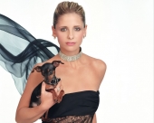 fond écran Sarah Michelle Gellar