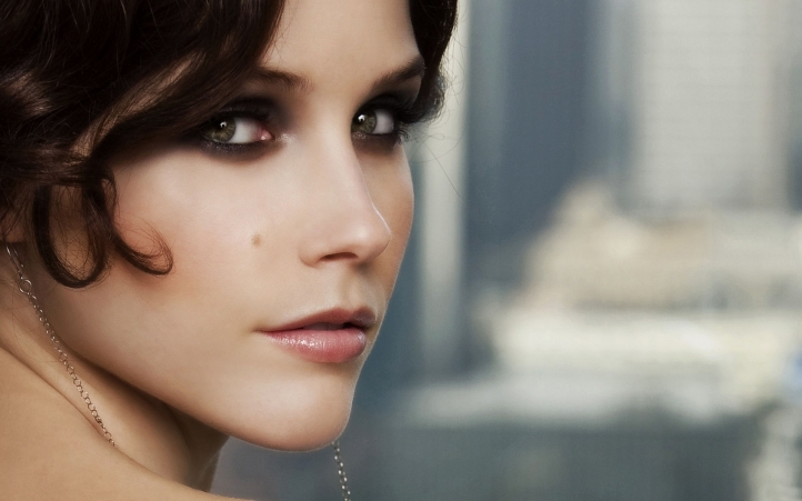 Sophia Bush fond écran wallpaper