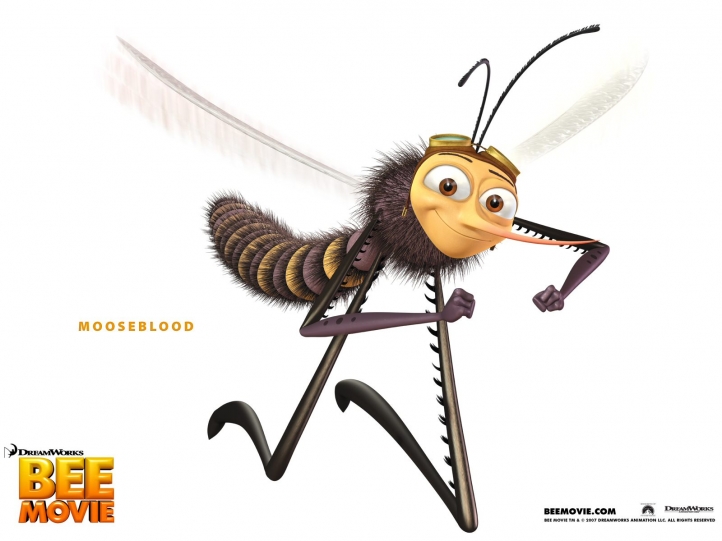 Bee Movie fond écran wallpaper