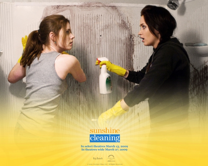 Sunshine Cleaning fond écran wallpaper