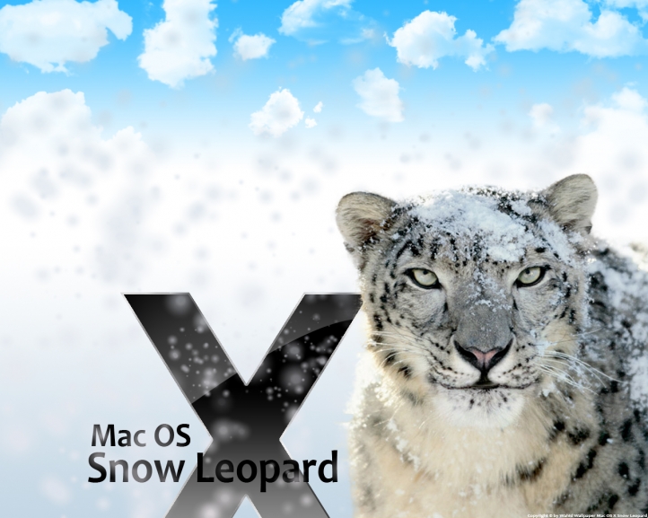 Snow Leopard fond écran wallpaper