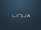 miniature Linux
