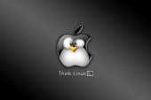 miniature Linux