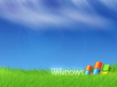 miniature Windows Vista