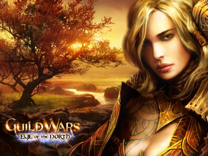 Guild Wars fond écran wallpaper