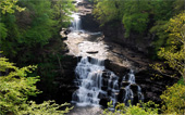 fond écran Chute d'eau