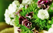 miniature 250-fleur