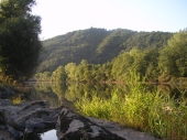 fond écran rive tranquille