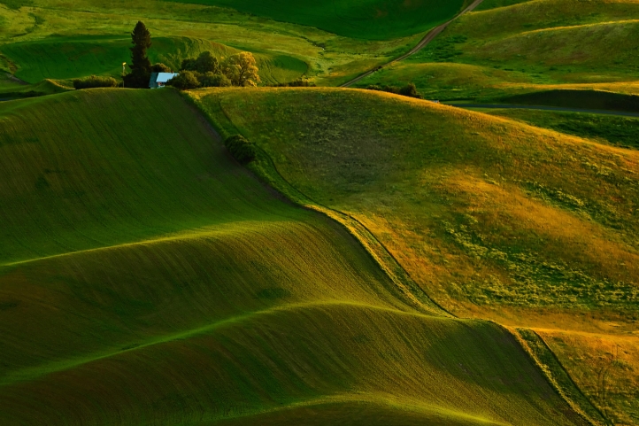 Plaines bossues fond écran wallpaper