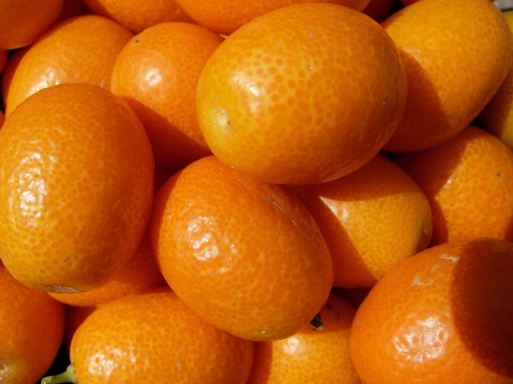 Fruits fond écran wallpaper