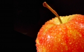 miniature 03-fruit
