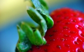 miniature 04-fruit