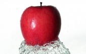 miniature 10-fruit