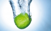 miniature 13-fruit