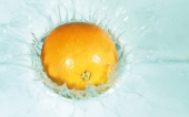 miniature 15-fruit