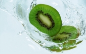 miniature 16-fruit
