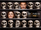 fond écran bones