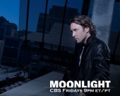 miniature Moonlight