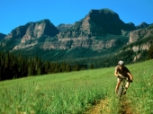 fond écran VTT