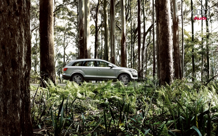 Audi Q7 Wallpaper fond écran wallpaper